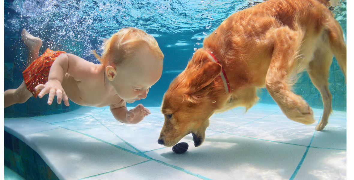 Baby Swimming with Dog