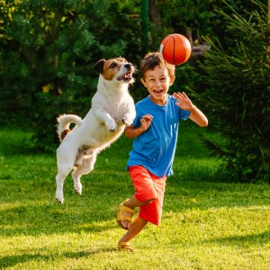 Boy Playing with Active Dog