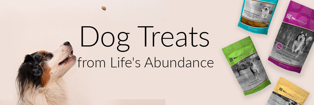 Life's Abundance Premium Quality Dog Treats